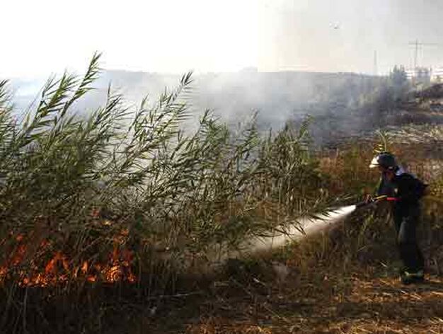 El fuego se origin&oacute; en una zona de pastos.

Foto: Manuel G&oacute;mez, EFE