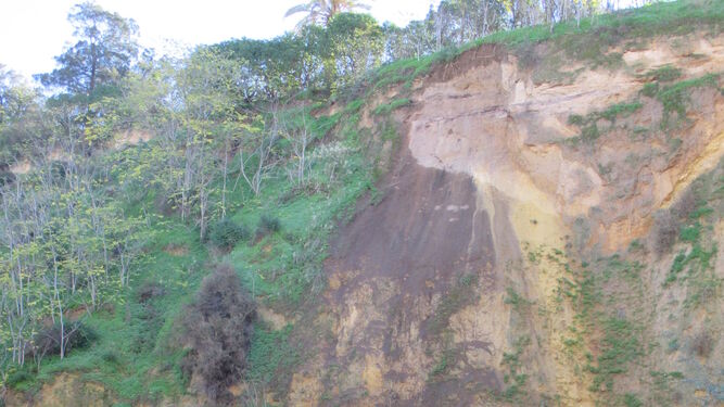 En la imagen se puede ver el desprendimiento de la parte alta de la ladera del cabezo de San Pedro.