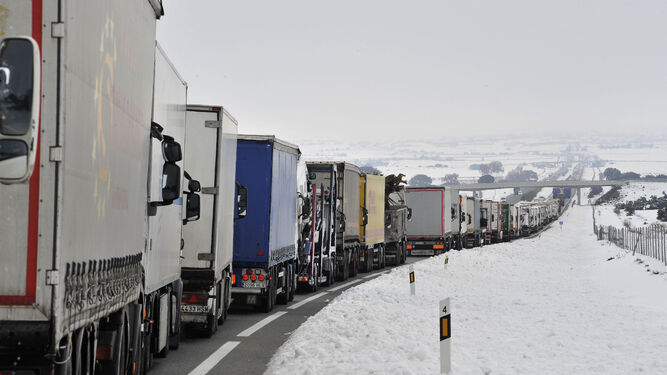 Largas retenciones de camiones ayer en la A-31 a la altura de la localidad albaceteña de Bonete debido a las intensas nevadas caídas.