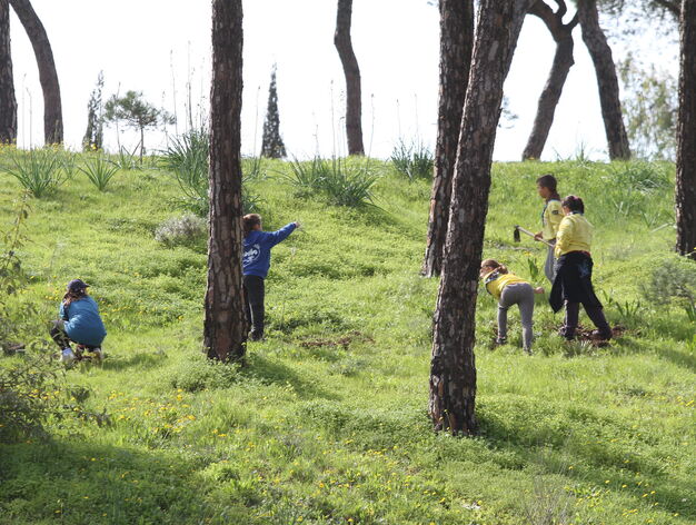 Scouts replantando arboles en el Parque Moret de Huelva