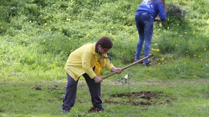 Participantes en la iniciativa trabajan para plantar uno de los árboles.