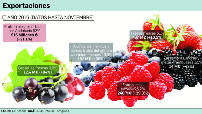 La exportación de frutos rojos sube un 21,1% y refuerza el liderazgo de Huelva