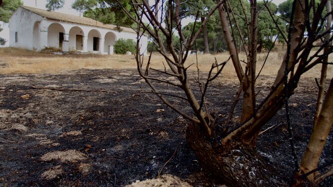 Las cenizas del incendio extinguido en la mañana del lunes, a pocos metros de la casa de verano de Juan Ramón Jiménez.