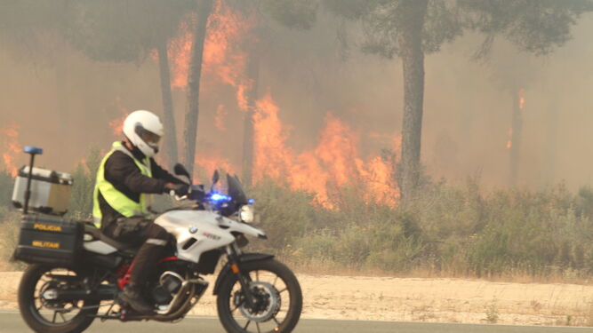 Un agente contempla las llamas que consumieron miles de hectáreas de pinar en Mazagón.