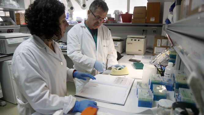 Dos investigadores del Infapa trabajando en los laboratorios del centro Agua del Pino de El Rompido.