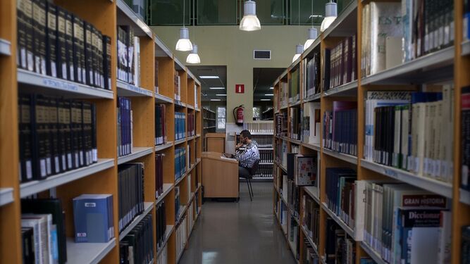 Un alumno estudia en la biblioteca central.