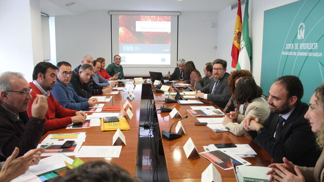 Reunión de la Mesa de los Frutos Rojos, presidida por el consejero Rodrigo Sánchez Haro.