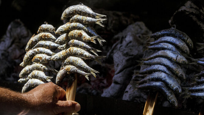 Un espeto de sardinas en la costa malagueña