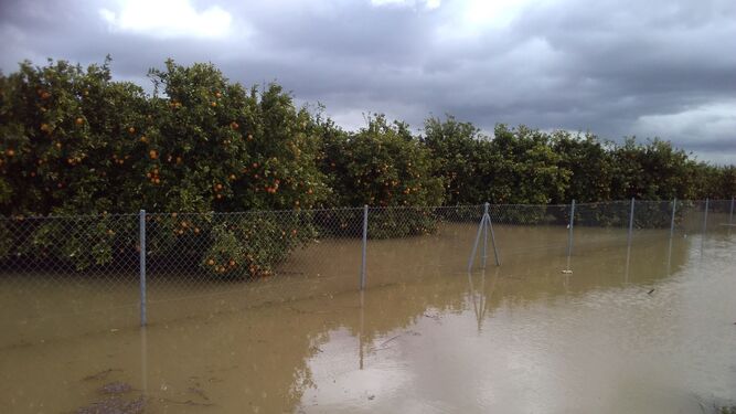 Los campos han quedado inundados, como pueden verse en la imagen, y la situación está causando graves daños.