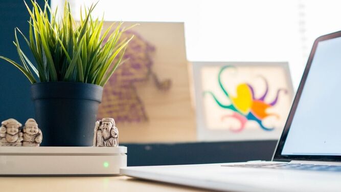 9 razones por las que es beneficioso tener plantas en tu espacio de trabajo