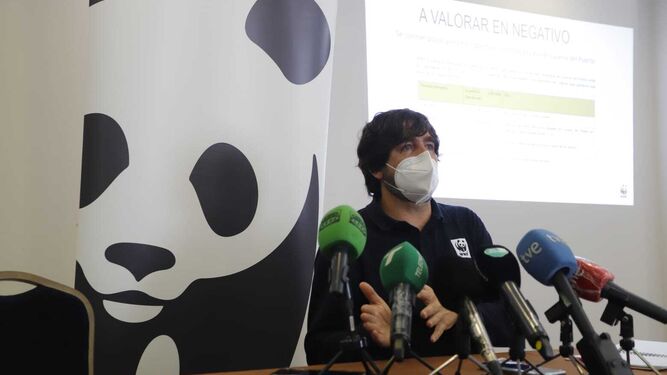 Felipe Fuentelsaz, de WWF, en la rueda de prensa de esta mañana en Huelva.