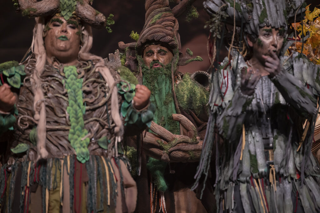 Im&aacute;genes de la actuaci&oacute;n de la comparsa de Huelva "La vieja verde" en el Carnaval Colombino