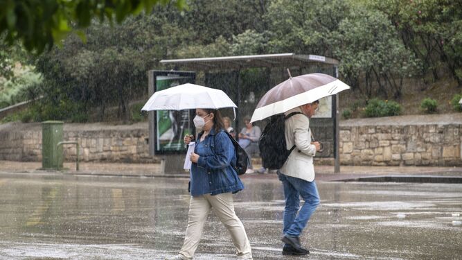 Dos personas con paraguas en Jaén.