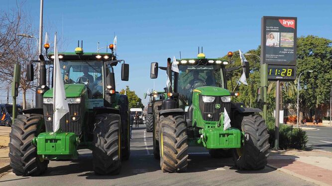 Tractores abriendo la manifestación de los agricultores onubenses el jueves en Sevilla.