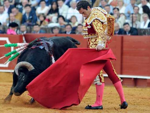 El toro sigue la muleta de Salvador Cort&eacute;s.

Foto: Antonio Pizarro