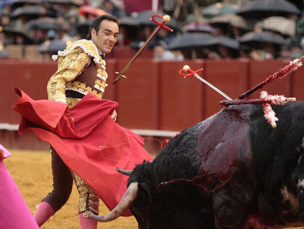 Manuel Jes&uacute;s 'El Cid', que dio la vuelta al ruedo, en su primer toro de la tarde.

Foto: Juan Carlos Mu&ntilde;oz