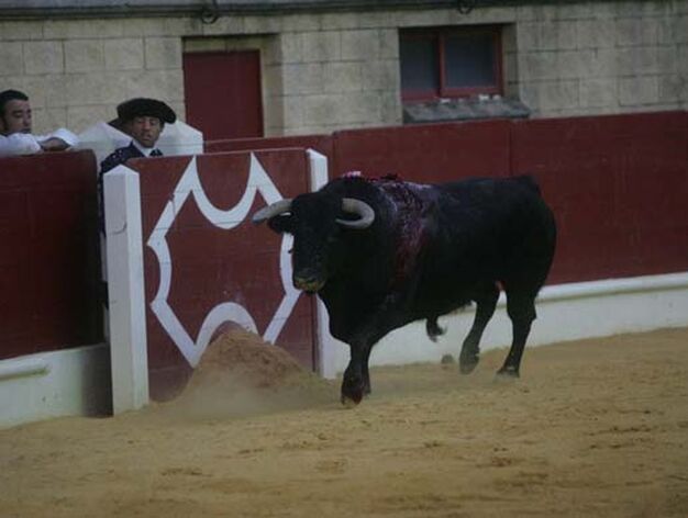 El toro de nombre cartuchero, indultado por El Fandi, antes de ir a los corrales

Foto: J. M. Qui&ntilde;ones
