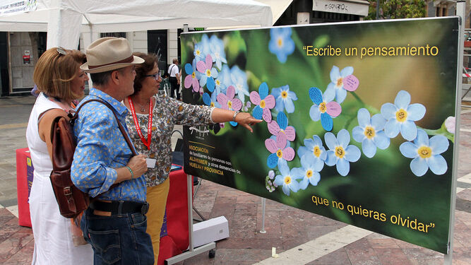Varias personas asisten a una exposición en la Plaza de las Monjas en el Día Mundial del Alzheimer del pasado año.