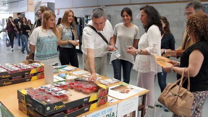 Campaña antitabaco en la Universidad de Huelva.