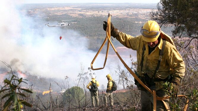 Efectivos del Infoca trabajan en la extinción de un incendio forestal.