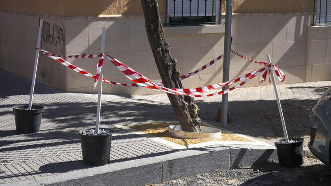 Uno de los alcorques que ha sido transformado en las calles de Huelva.