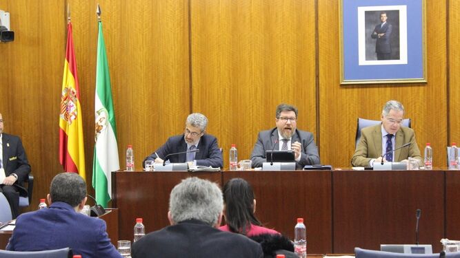 Rodrígo Sánchez Haro durante su comparecencia en el Parlamento de Andalucía durante el día de ayer.
