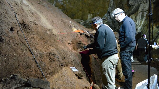 Trabajos en la Cueva de Ardales liderados por la Universidad de Cádiz y el Neanderthal Museum de la Universidad de Colonia.