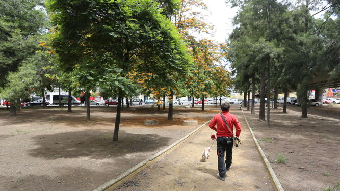 Un joven camina con su perro por el parque Luis Cordero Bel.