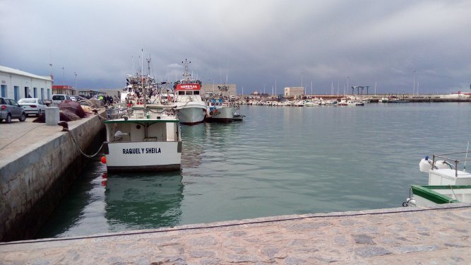 Barcos atracados en el puerto de Barbate.