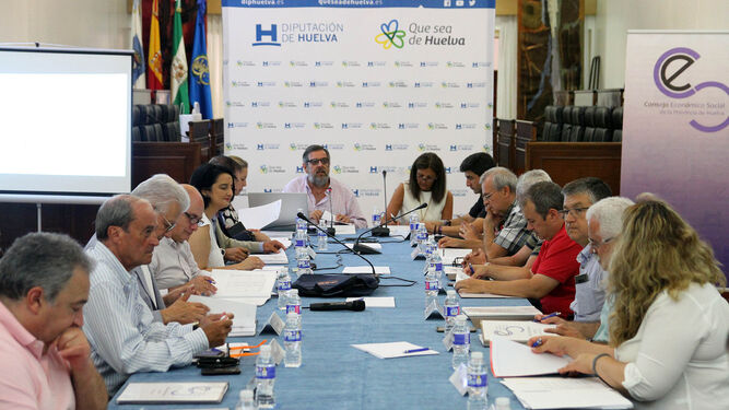 Un momento del Pleno, celebrado ayer, del Consejo Económico y Social de la provincia de Huelva.