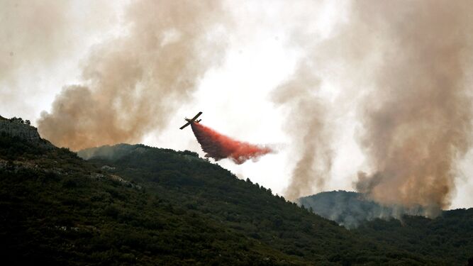 Una avión descarga agua sobre el fuego en el paraje valenciano.