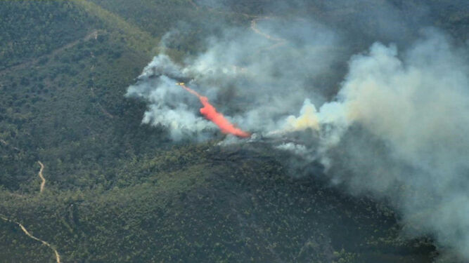 Panorámica aérea del incendio de La Zarza, que calcinó 1,2 hectáreas de masa forestal el pasado 6 de agosto.