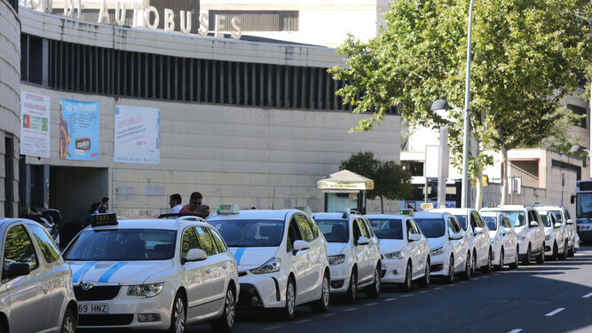 Taxis aguardan la llegada de clientes en la parada situada junto a la estación de autobuses.