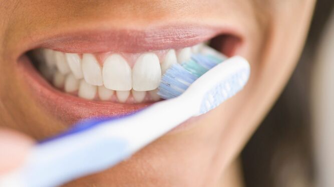 Es de vital importancia cepillarse los dientes tras el desayuno y la cena, como mínimo.