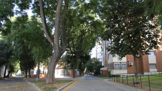Uno de los tramos de la amplia zona peatonal interior de la barriada de Santa Marta.