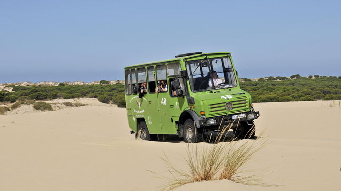 Turistas avanzan por las dunas de Doñana montados en un vehículo turístico.