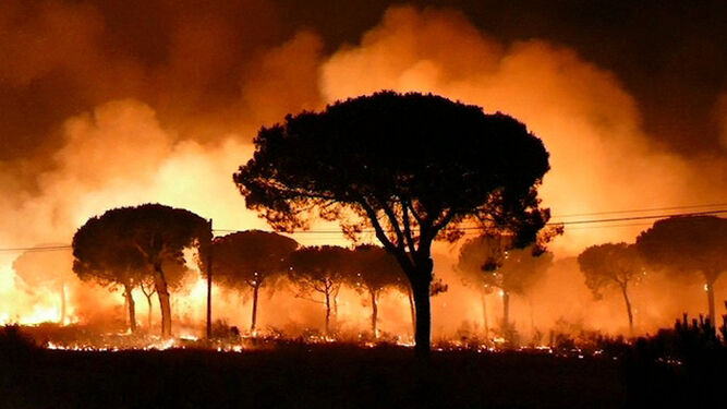 Fantasmagórico aspecto del entorno de Doñana tras sofocarse el incendio.