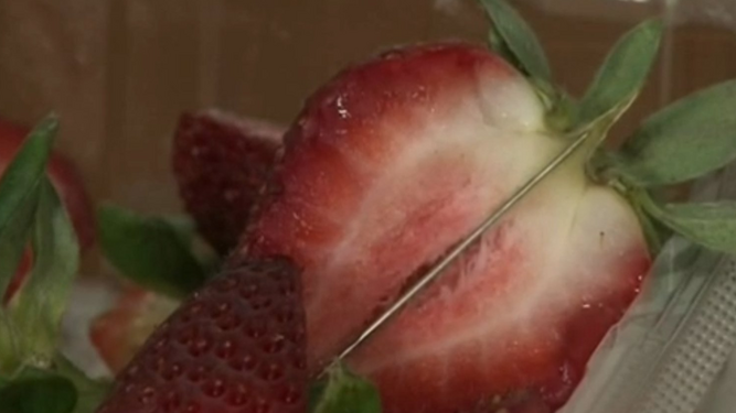 Una fresa atravesada por una aguja en Australia.