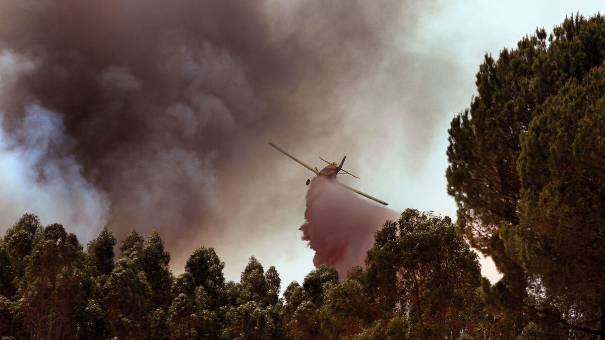 Una avioneta deja su carga sobre el fuego en los trabajos de extinción.
