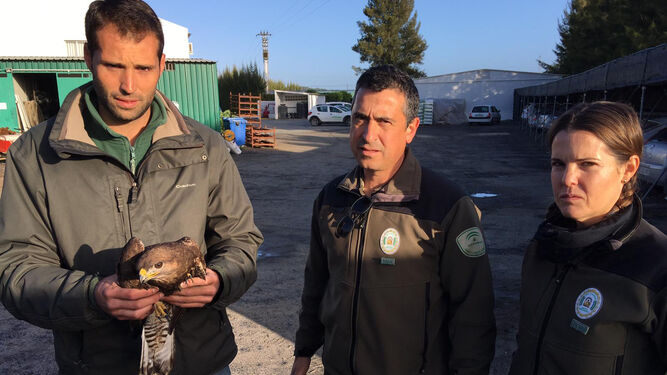 José Ángel Rodríguez sujeta al águila, junto a los agentes de Medio Ambiente