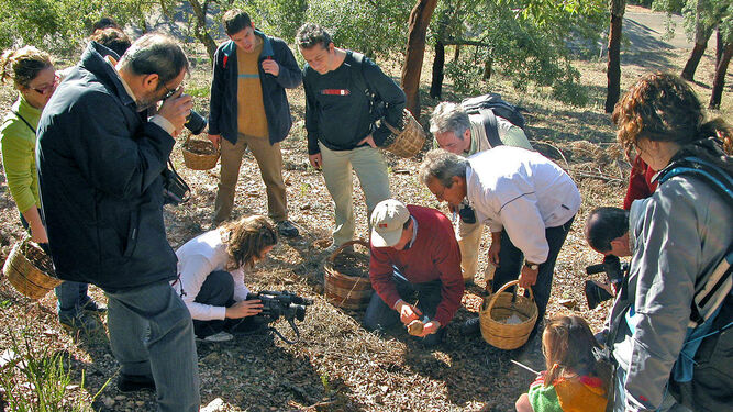 Un experto paymoguero explica a un grupo de excursionistas sobre la recolección del hongo.