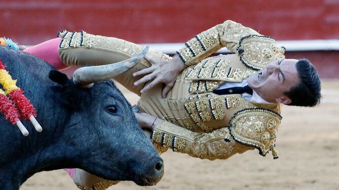 El segundo toro de Victorino Martín, ‘Bordón’, le infiere una cornada en la zona escrotal a Octavio Chacón.