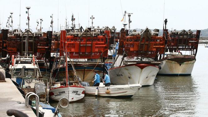 Barcos con draga hidráulica amarrados en el puerto de Isla Cristina.