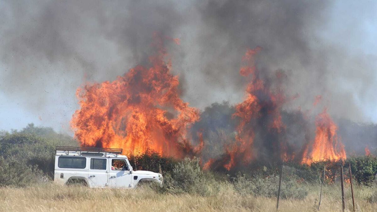 Un vehículo de pasa ante las llamas que afectaron al paraje Los Mimbrales.