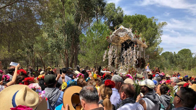 La Hermandad de Valverde del Camino reza el ángelus en su peregrinar hacia El Rocío.