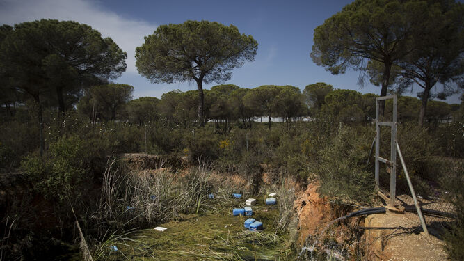 Pozo ilegal en el entorno de Doñana.