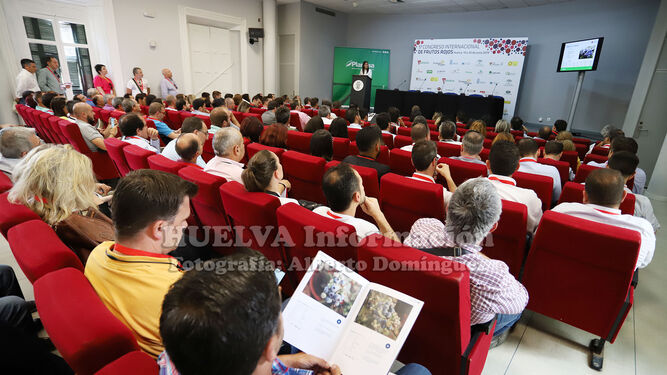 Im&aacute;genes del congreso internacional de frutos rojos de Huelva