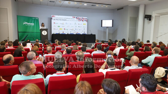 Im&aacute;genes del congreso internacional de frutos rojos de Huelva