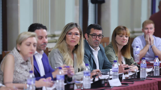 Imágenes del Pleno del Ayuntamiento de Huelva