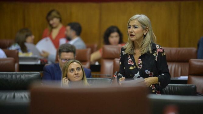 La consejera durante su intervención ayer en el Parlamento andaluz.